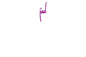 JuulDenBosch fashion hip shoppen denbosch Sticker