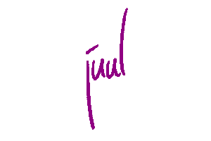 JuulDenBosch fashion hip shoppen denbosch Sticker