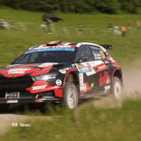 FIA-ERC fail jump crash rally GIF