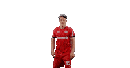 Bayer 04 Goal Sticker by Bayer 04 Leverkusen
