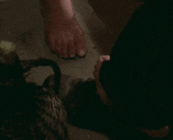 Film Feet GIF