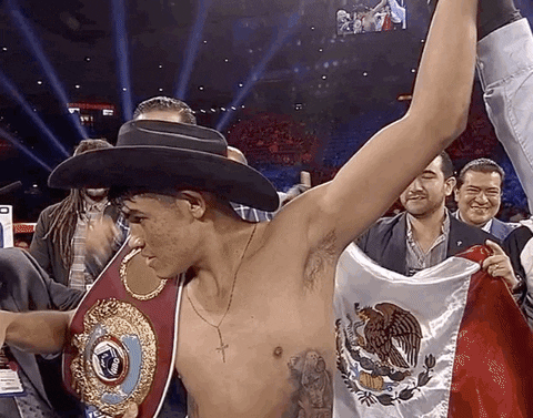 toprank giphyupload fight fighting espn GIF