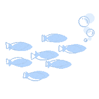 Fish Sea Sticker