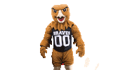 Mascot Pembroke Sticker by UNCP Braves Athletics