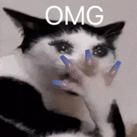 Oh My Gawd Omg GIF