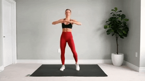 veronicalu7f8d giphygifmaker ejercicios en casa rutina de ejercicios abdominales de pie GIF