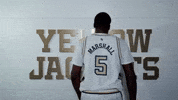 Georgia Tech Adidas GIF by Georgia Tech Yellow Jackets