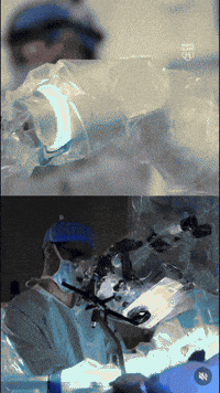 GIF by The Explainer Studio