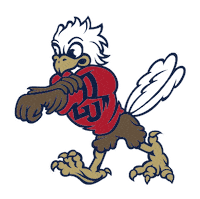 Go Flames Cfaw Sticker by Liberty University