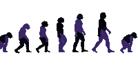 Evolution Sticker by Oide.Art