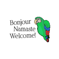 India Parrot Sticker by Alka Joshi