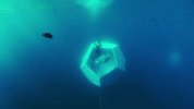 doug aitken art GIF by NOWNESS
