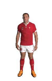 Rugby Union Sport Sticker by Rugby World Cup