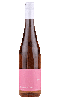 vinosaurier vinosaurier vinosaurierrose vsrose Sticker