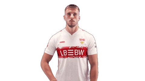 Vfb Stuttgart Football Sticker by Bundesliga