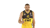Ewe Baskets Basketball Sticker by EWE Baskets Oldenburg