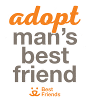Adopt Best Friend Sticker by Best Friends Animal Society