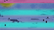 Idol GIF by BTS