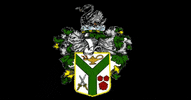 GIF by Twickenham Cricket Club
