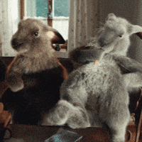 Pohoda Kralik GIF by Fio banka