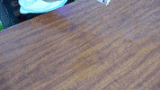 ExperimenMeatGrinder colorful meat soap underground GIF