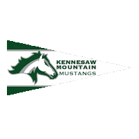 High School Football Sticker by GPB Sports