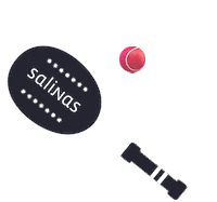 Salinas Sticker by Ellus