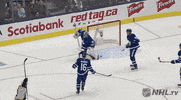 Celebrate Ice Hockey GIF by NHL