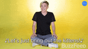 Hannah Hart Kitty GIF by BuzzFeed