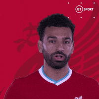 Van Dijk Smh GIF by BT Sport
