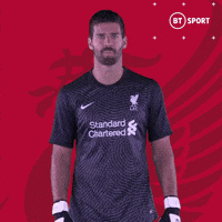 Van Dijk Smh GIF by BT Sport