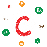 orange jeruk Sticker by NutriSari