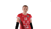 Sport Volleyball Sticker by LP Viesti