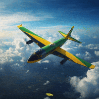 Take Off Fly GIF by Nova Sound
