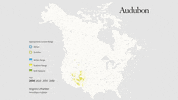 virginia's warbler GIF by audubon