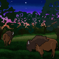 mackelangelo animation stars night buffalo GIF