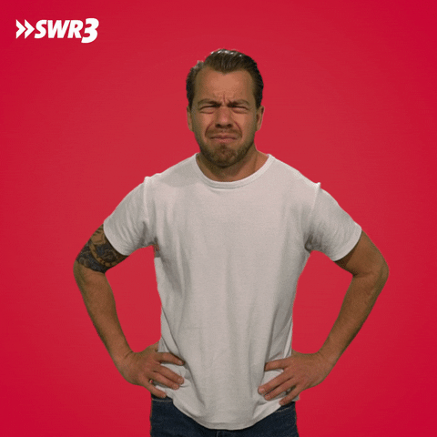 No Way What GIF by SWR3