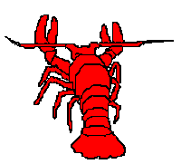Lobster Sticker