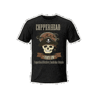 North Bay Summer Sticker by CopperheadDistillery