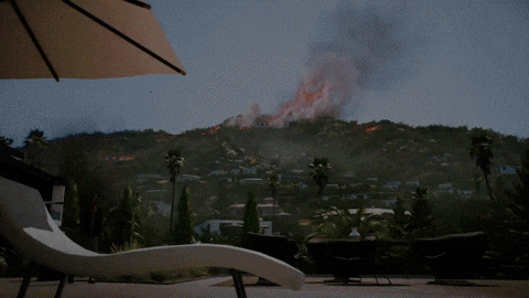 Horror Game Survival GIF