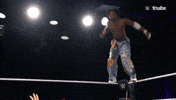 Wwe Wrestling GIF by Tubi