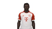Bayern Munich Yes Sticker by Bundesliga