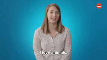 I Love Animals