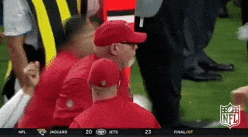 Arizona Cardinals Football GIF by NFL