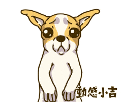 Animation Dog GIF