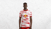 Football No GIF by RB Leipzig
