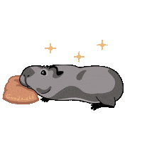 komorumotto guineapig cavy komorumotto Sticker