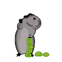 komorumotto guineapig cavy komorumotto Sticker
