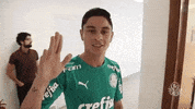 tamo junto ok GIF by SE Palmeiras