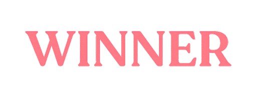 Winner Win Sticker by sundae